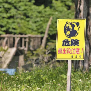 EP24：熊灾下的日本，一个90后中国猎人杀了70头熊