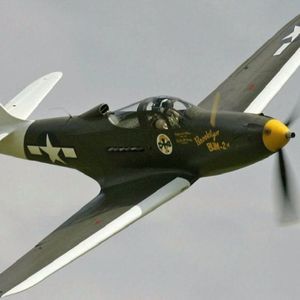 74 空战不朽传奇:P39飞蛇在苏联空军的传奇战绩