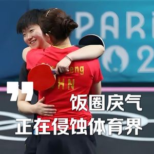 Vol.015-“饭圈文化”侵蚀体育界：一场对立撕裂的投射与共鸣