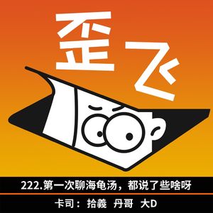 222.第一次聊海龟汤，都说了些啥呀