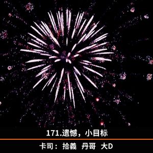 171.遗憾，小目标