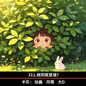 311.她到底是谁？
