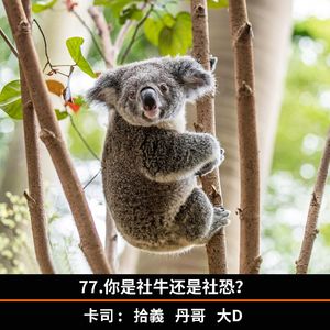 77.你是社牛还是社恐?