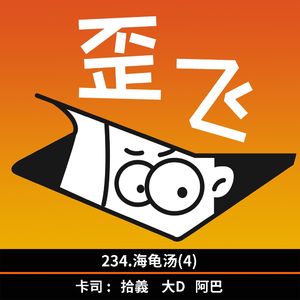 234.海龟汤(4)