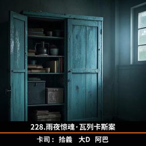 228.雨夜惊魂·瓦列卡斯案