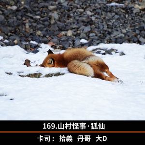 169.山村怪事·狐仙