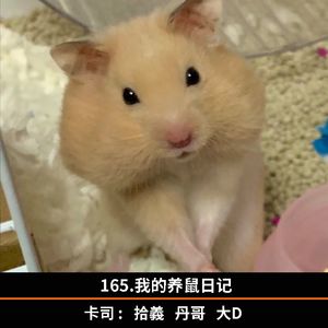 165.我的养鼠日记