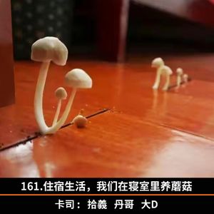 161.住宿生活，我们在寝室里养蘑菇