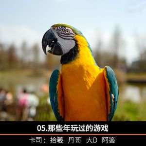 5.那些年玩过的游戏