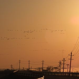 25 我听见气流划过它们翅膀的声音