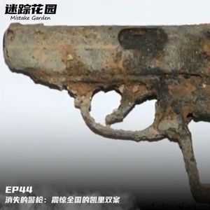 EP44-消失的警枪：震惊全国的凯里双案