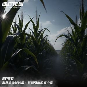 EP30-东北偷油贼被杀：苍蝇引出的案中案