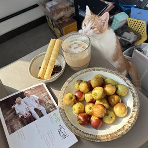 Vol.09 快乐小狗吃上了爱情的苦?大方为自己的心动买单!