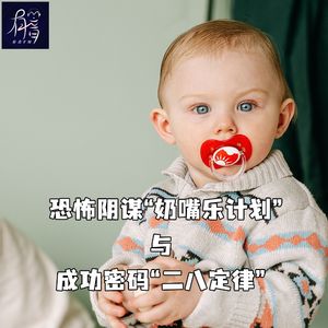 恐怖阴谋“奶嘴乐计划”与成功密码“二八定律”