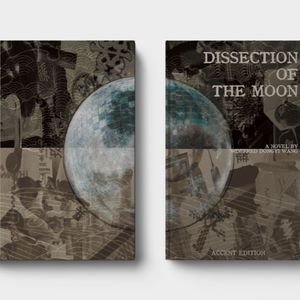 Accent x Winifred Dongyi Wang: Dissection of the Moon