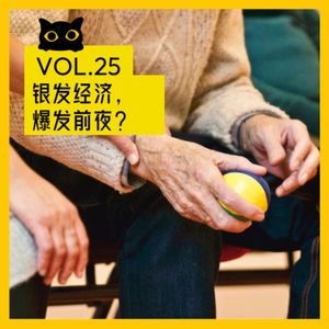 No.25 银发经济,爆发前夜?外包儿女月入过万,机器护工24h守护
