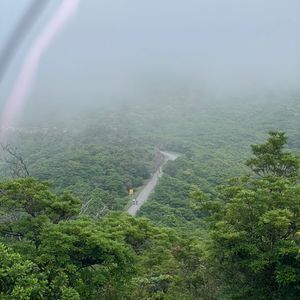 实时录制麦理浩径反穿第二天-第八第七段