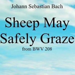 赏析：巴赫《羊群可以安静地吃草》选自康塔塔 BWV 208