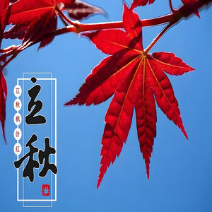 食说二十四节气|立秋养生宜适当调补运动,男子久坐竟查出肠癌