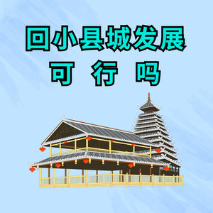 大城市奋斗不易,回小县城发展可行吗(下)