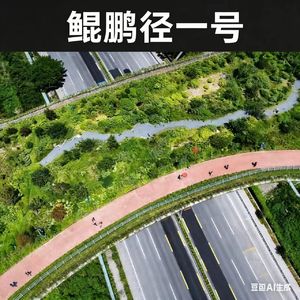 深圳是搞钱之都也是温柔之城,斥巨资为动物打造:鲲鹏径“生态廊桥”