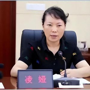 最毒女警花 株洲武则天 搞垮太子奶的公安局长——凌娅