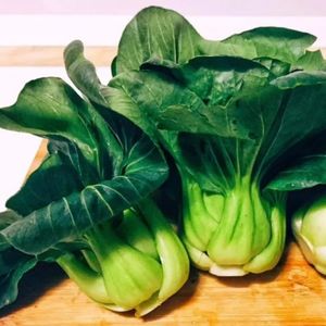 人间苏州青，最是慰乡愁【求月票~好评】