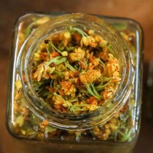 金秋的苏城属于桂花！【求月票】