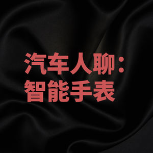 3. 汽车人怎么看智能手表