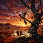 《荆棘鸟》有些鸟终其一生只落地一次 | 英语听力磨耳朵 | 书籍导读