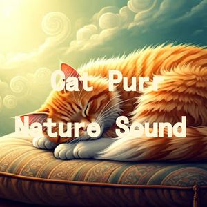 02.真实猫呼噜声｜3分钟入睡·白噪音循环