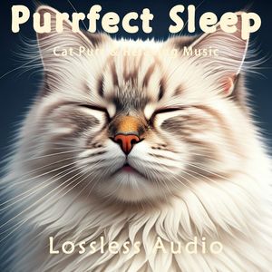 92.平静冥想氛围｜猫咪呼噜｜深度放松｜完美睡眠