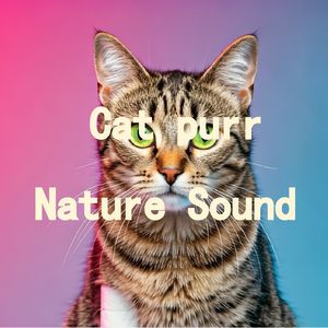 25.真实猫呼噜声+森林流水明亮活跃｜3分钟入睡·白噪音循环