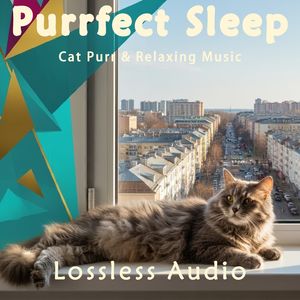 120.空灵的正念冥想阿尔法脑波音乐融合猫咪呼噜声|深度放松|完美睡眠