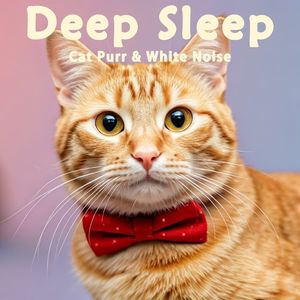 8小时- 真实猫呼噜声+春风徐来虫鸟合奏｜3分钟入睡·白噪音循环