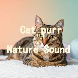 06.真实猫呼噜声+海浪缠绵浪花朵朵｜3分钟入睡·白噪音循环