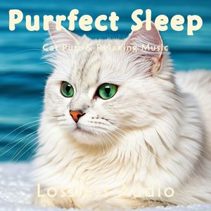 64.星空深邃｜瑜伽冥想｜猫咪呼噜｜深度放松｜完美睡眠