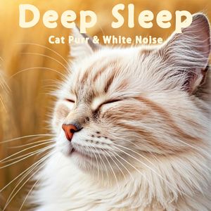 36.真实猫呼噜声+小溪潺潺啾啾鸟鸣｜3分钟入睡·白噪音循环