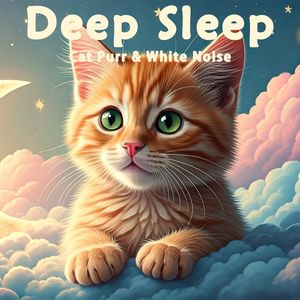 37.真实猫呼噜声+耳边小溪放松解压|3分钟入睡·白噪音循环