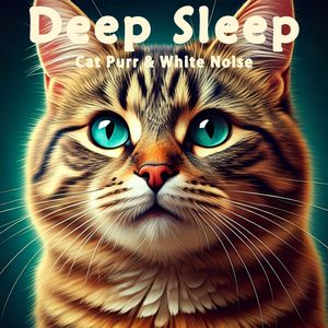 8小时- 真实猫呼噜声+水上公园水声潺潺鸟鸣啾啾|3分钟入睡·白噪音循环