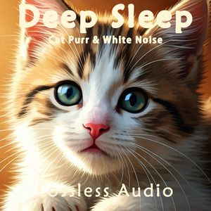 8小时- 真实猫呼噜声+森林氛围悦耳鸟鸣｜3分钟入睡·白噪音循环