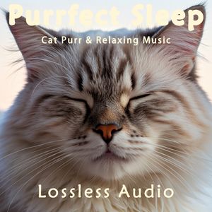 109.抒情感性的自然冥想音乐融合猫咪呼噜声｜深度放松｜完美睡眠