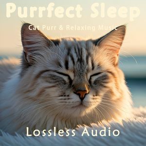 97.平静安心舒缓催眠｜猫咪呼噜｜深度放松｜完美睡眠