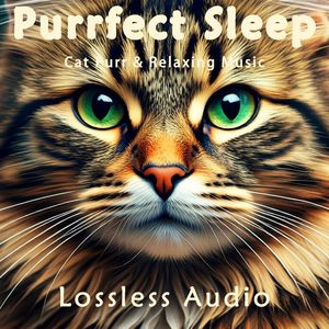 96.放松放空节奏氛围|猫咪呼噜|深度放松|完美睡眠