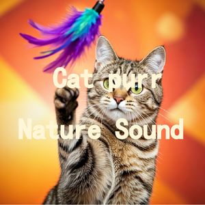 07.真实猫呼噜声+壁炉火焰声声鸟鸣｜3分钟入睡·白噪音循环