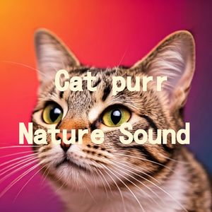 05.真实猫呼噜声+雨声淅沥鸟鸣啾啾｜3分钟入睡·白噪音循环