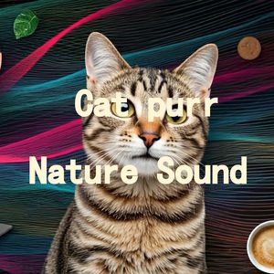 18.真实猫呼噜声+温柔雨声整晚安眠｜3分钟入睡·白噪音循环