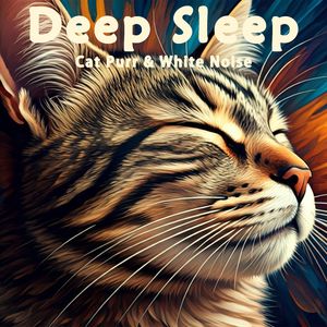 51.真实猫呼噜声+森林溪流平滑舒缓｜3分钟入睡·白噪音循环