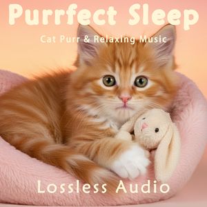 8小时 - 自然海浪冥想｜绿意自然放松瑜伽｜猫咪呼噜声助眠｜深度放松｜完美睡眠