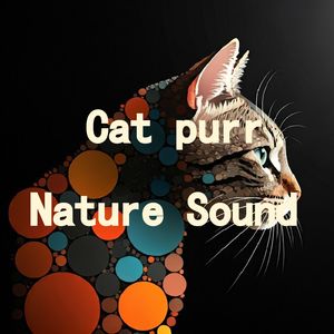 15.真实猫呼噜声+雨声雷声声声入耳|3分钟入睡·白噪音循环
